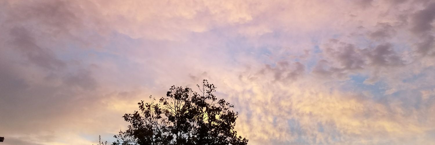 eeeva___'s profile banner image