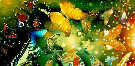 mo555351's profile banner image