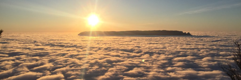 louesse_b's profile banner image
