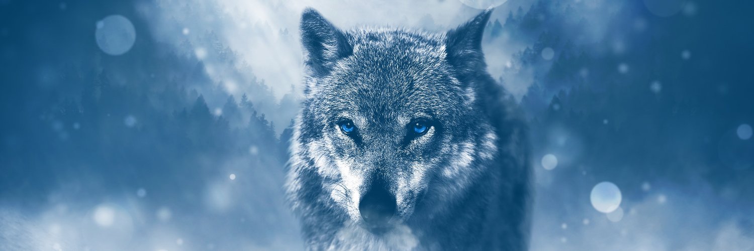 Ionerguy's profile banner image