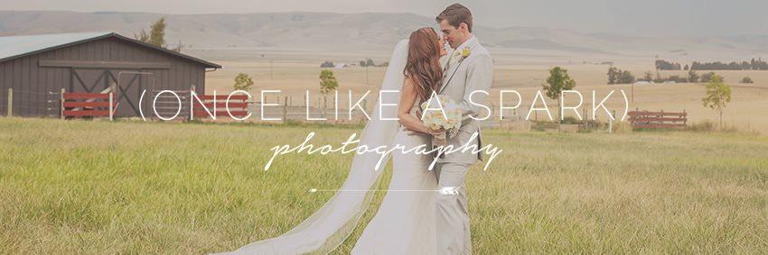 oncelikeaspark's profile banner image