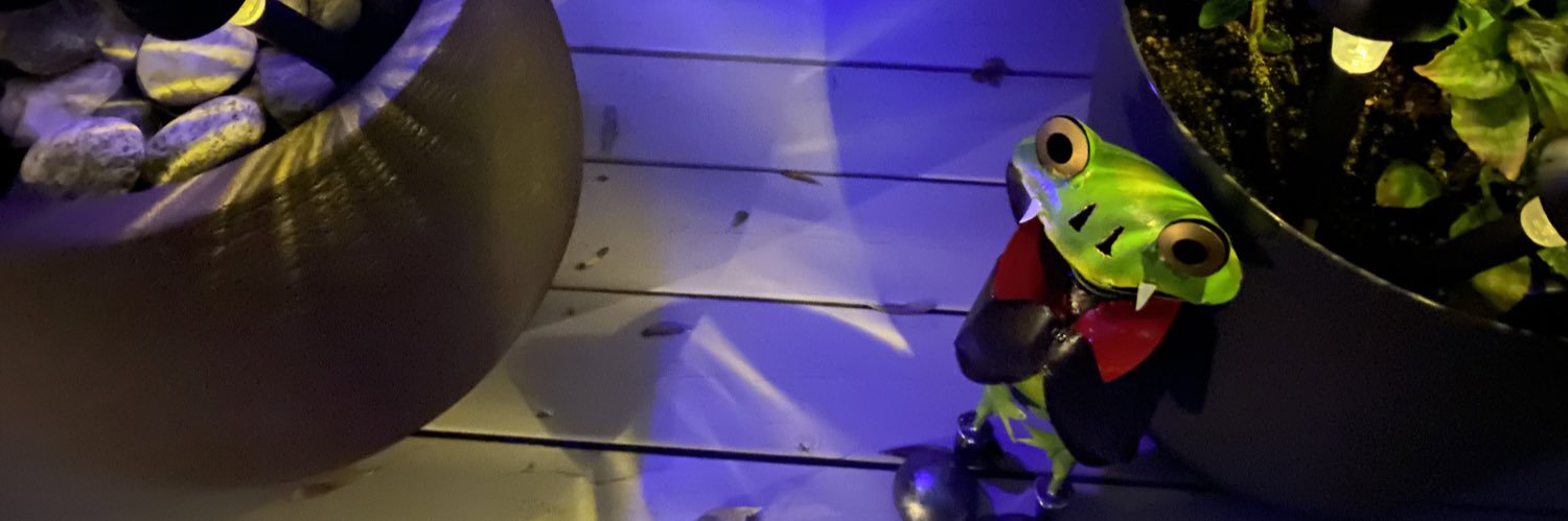 SteinarHM's profile banner image