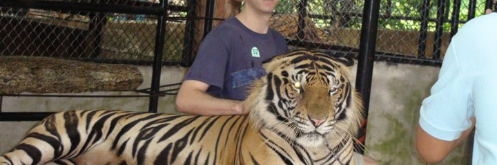 Brian_Foucher's profile banner image