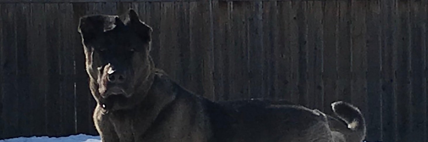 deveau45's profile banner image
