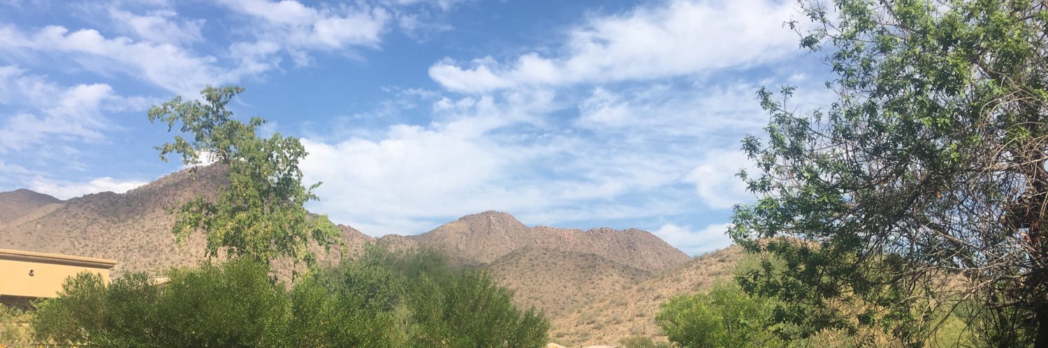 Prof. Mary Laura Lind (Marylaura Lind Thomas) banner