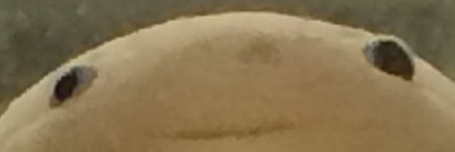 Co-Redemptrix Fan banner