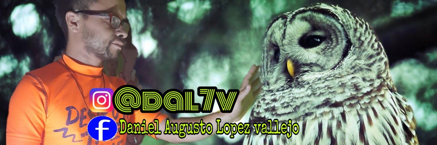 DAL7V 🎙🇬🇹👌😎🎸 banner