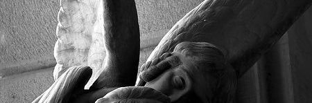 StepaniukLucia's profile banner image