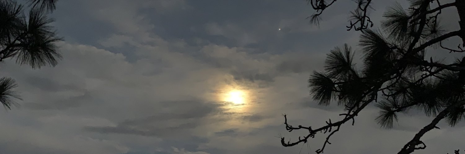 Caseygoulddd's profile banner image