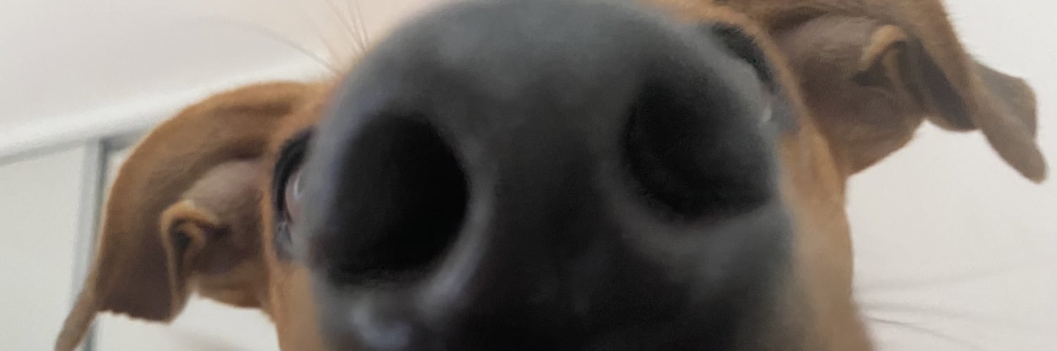joacapujadas's profile banner image