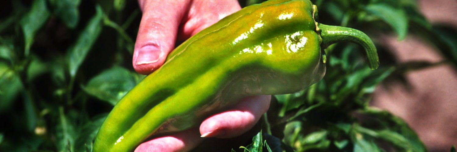 Dennis Nicuh Lozada banner