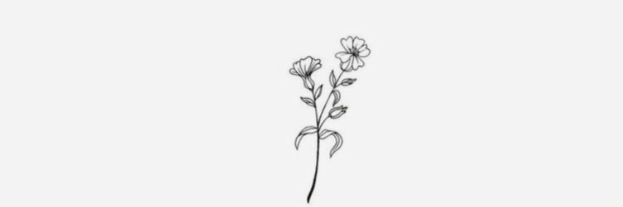 ShipmanKatie's profile banner image