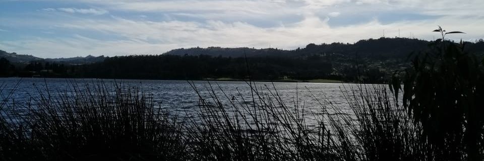 benjalguti's profile banner image