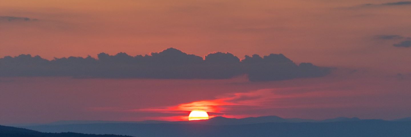 AgnesMusni's profile banner image