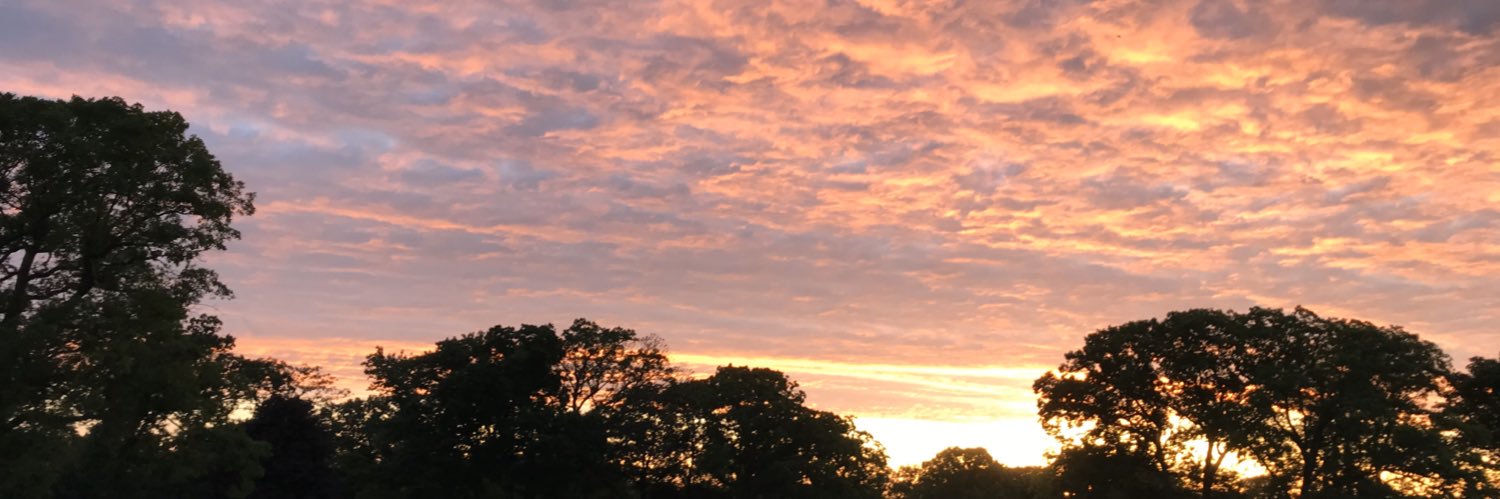 camshaw213's profile banner image