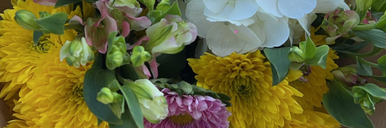 celest_232's profile banner image