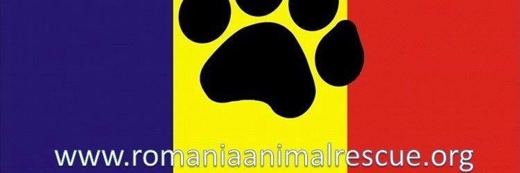 JGShanda's profile banner image