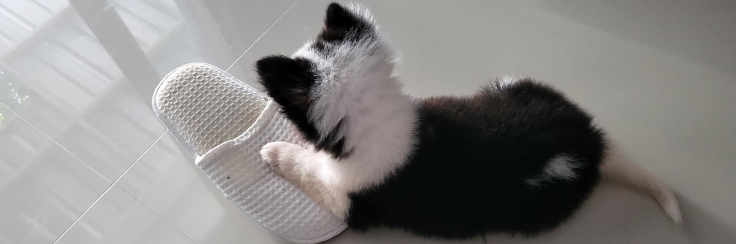 PhusDD's profile banner image