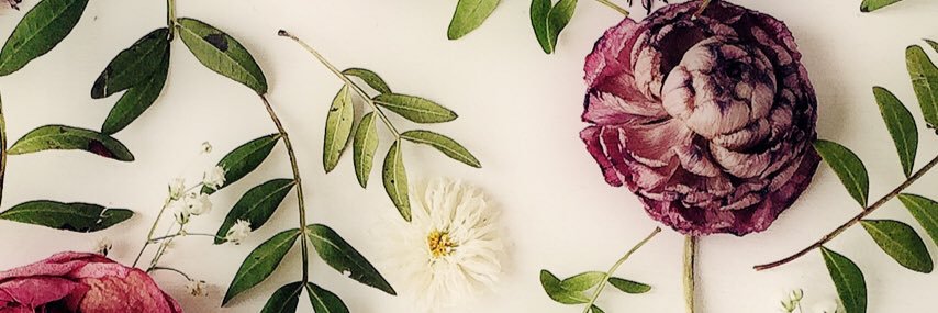 vasilljevaa's profile banner image