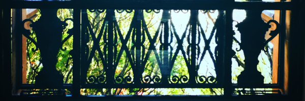 competelie Profile Banner