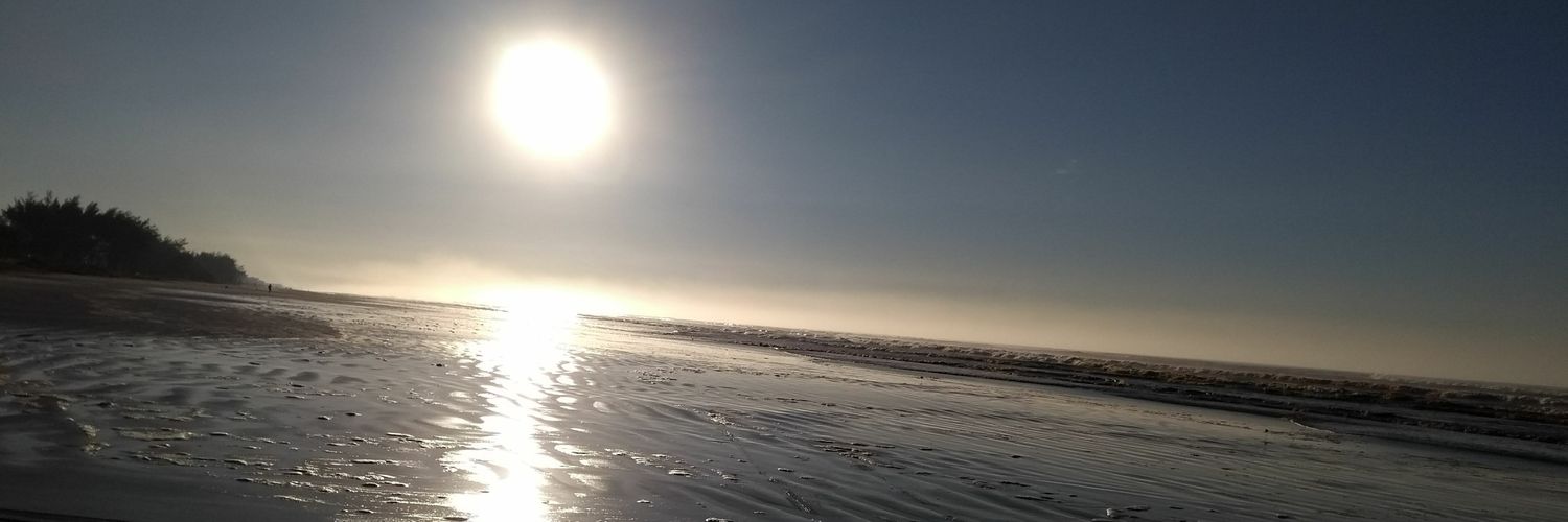 LaisLibrelato's profile banner image
