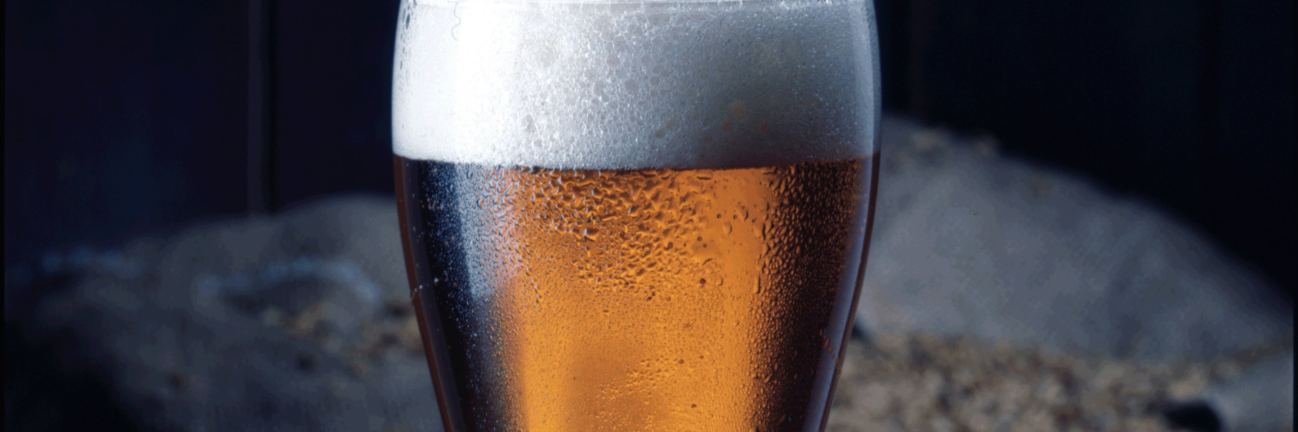 Panimo- ja virvoitusjuomateollisuusliitto banner