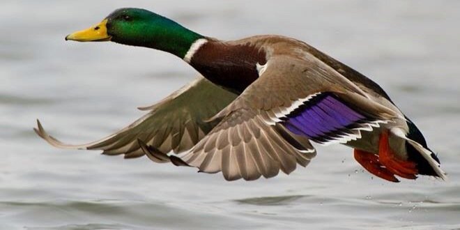 B0Tanner's profile banner image