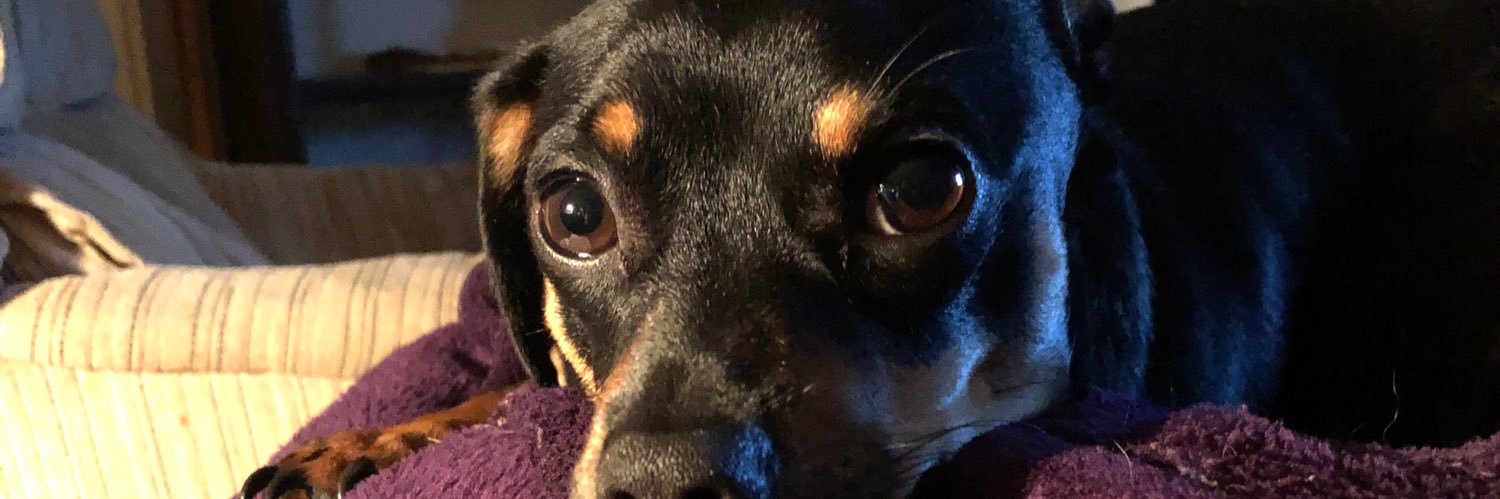 area5150's profile banner image