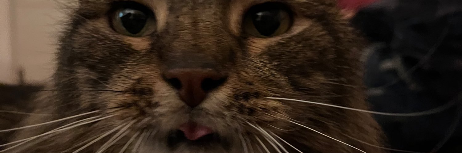 laura “on the other website too” cavegift banner