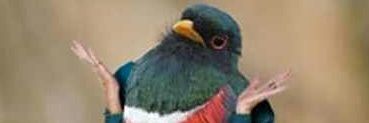Scumbagkasper's profile banner image