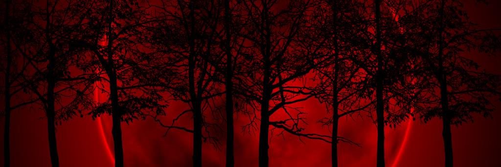 DMB7100's profile banner image