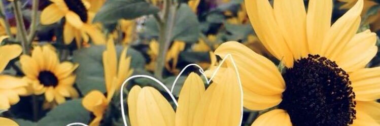 _amendaa's profile banner image
