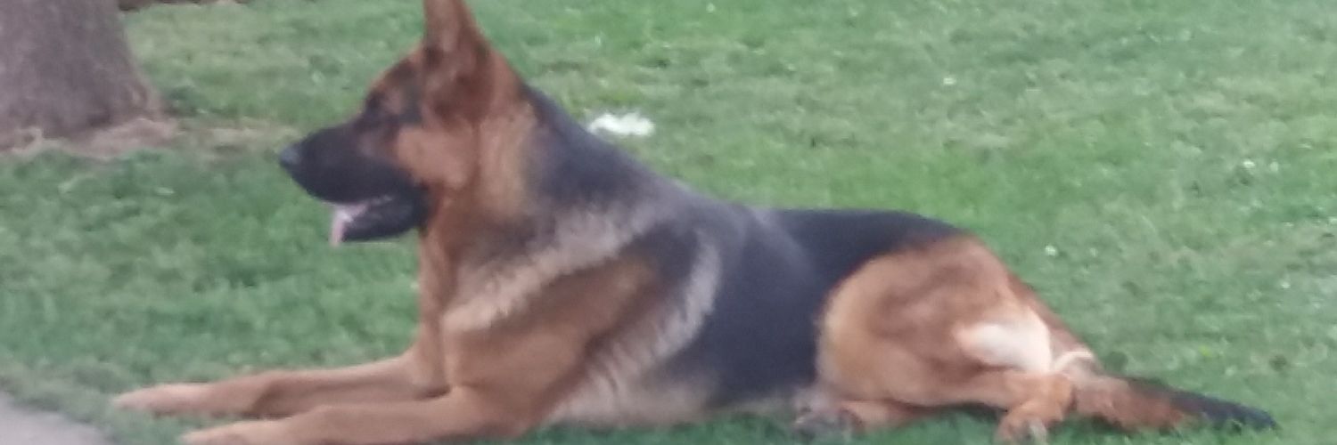 kiniknik's profile banner image