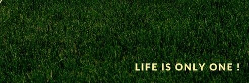 Levixinosuke's profile banner image