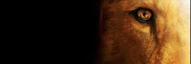 Cameron Barrett banner