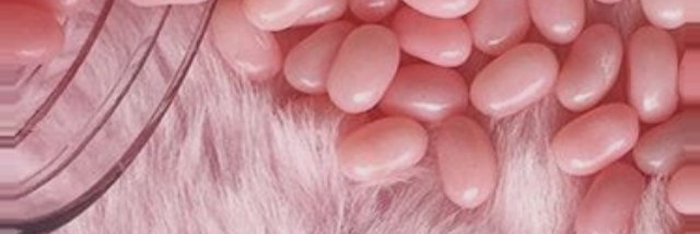 sienapple's profile banner image