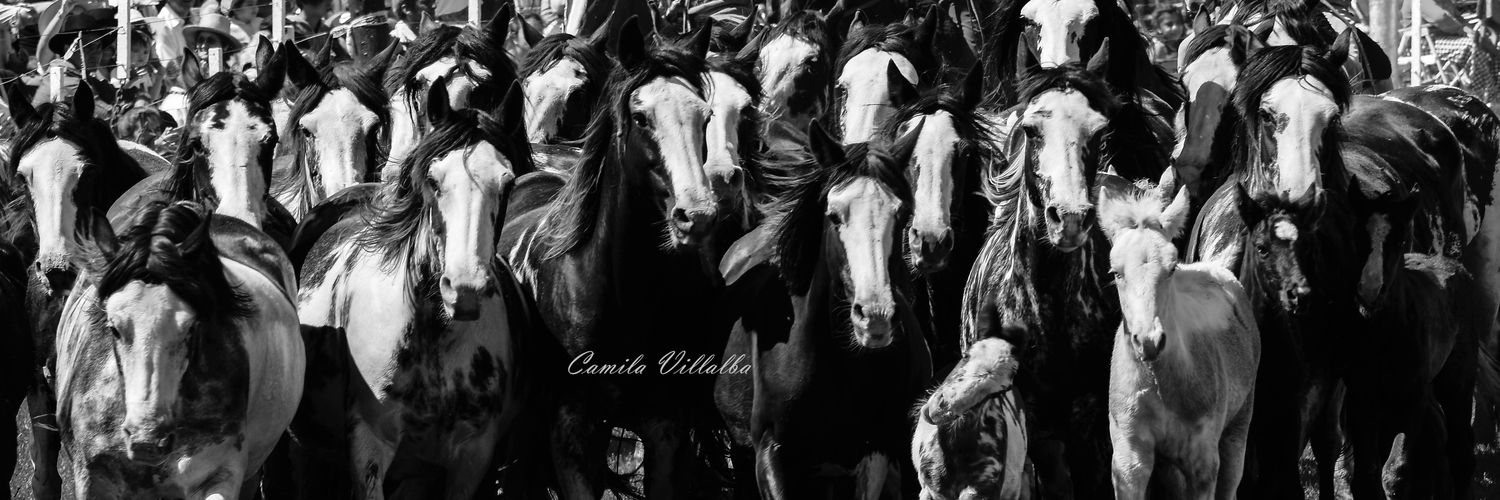 CamiVillalba97's profile banner image