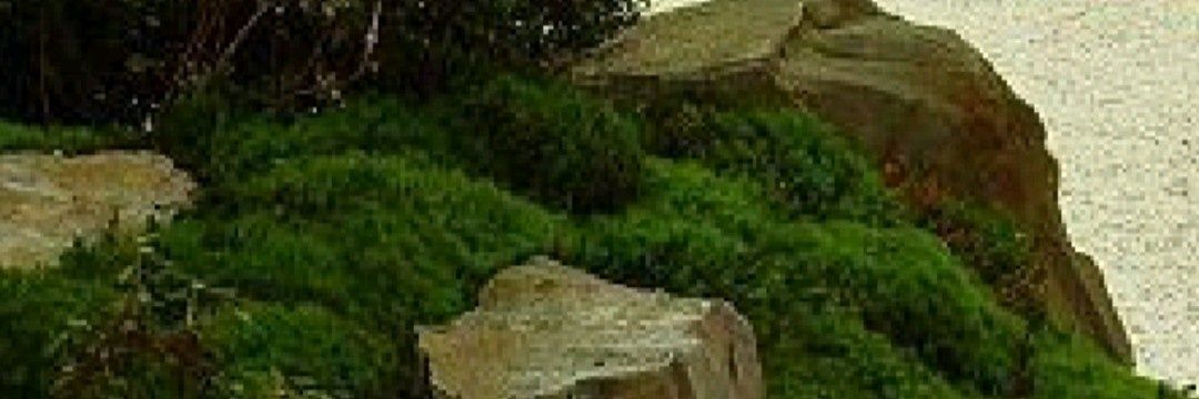 dareabiodun's profile banner image