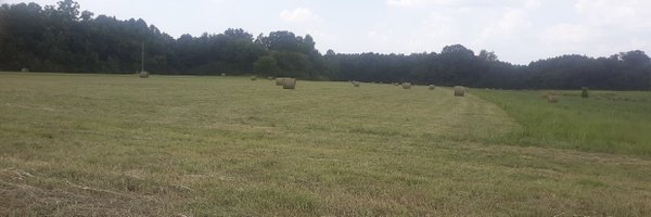 AlbieBrian Profile Banner