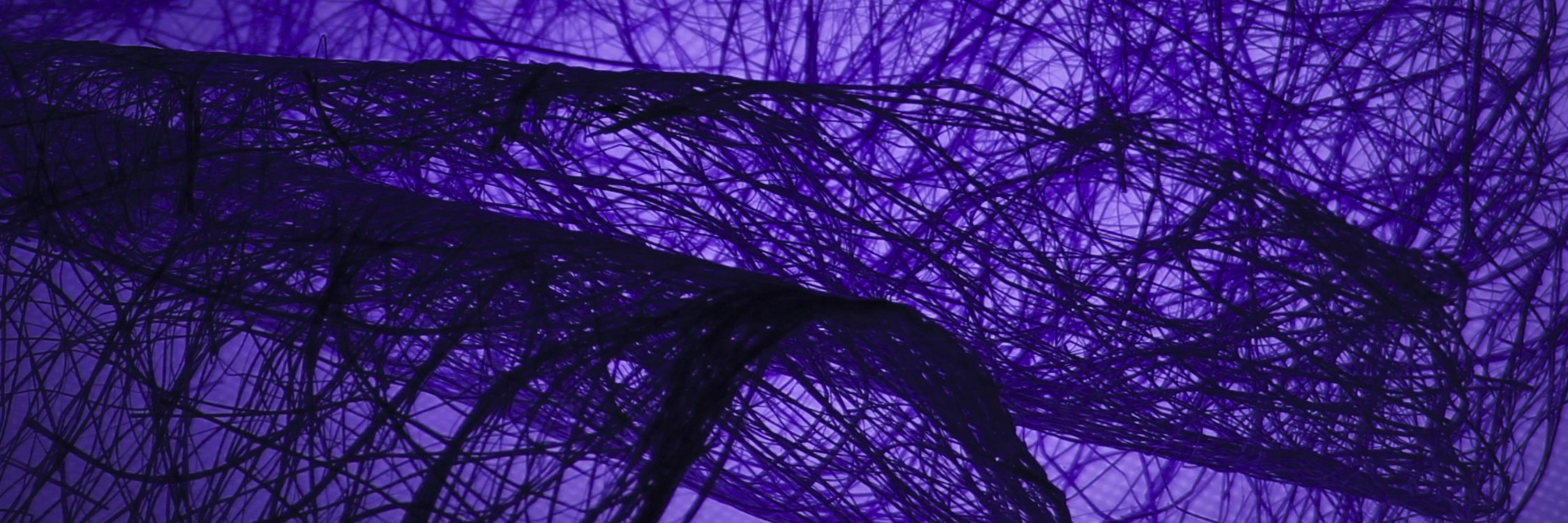 ludarayans's profile banner image