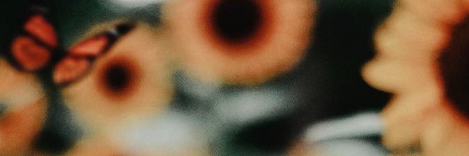 Meia_3's profile banner image