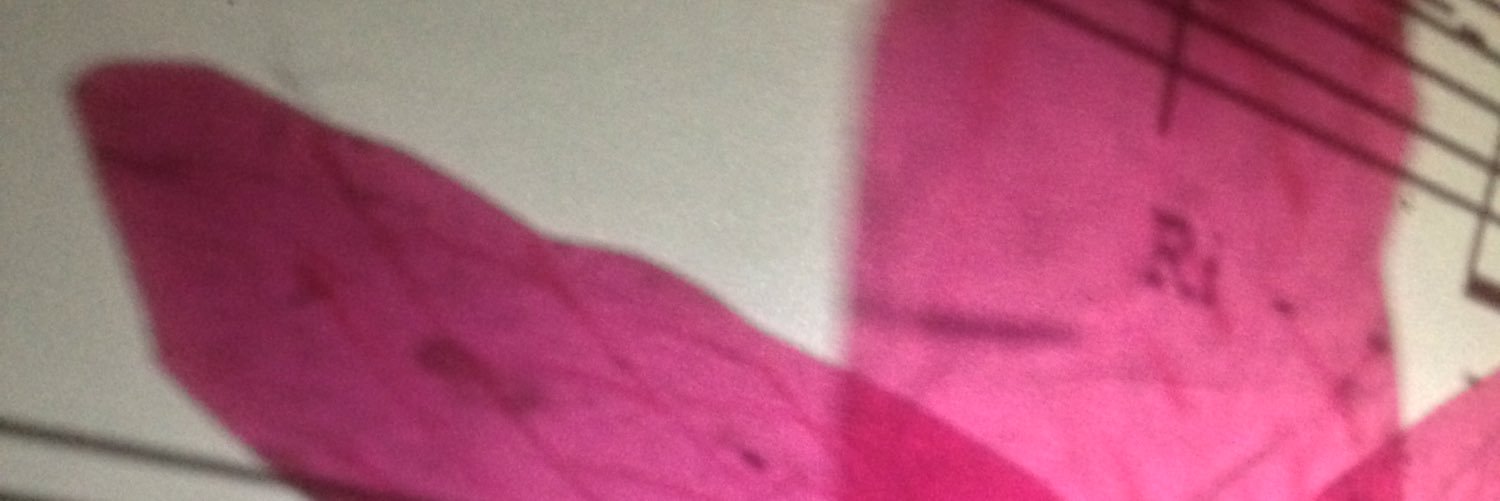 lynnequirk's profile banner image