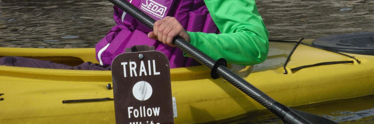 Denise Mitten banner