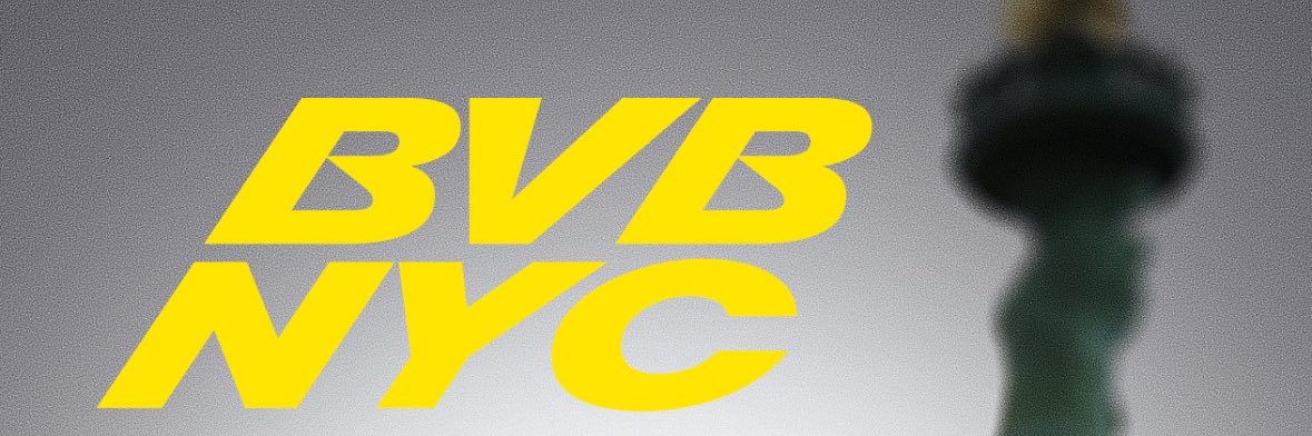 boyer_arthur's profile banner image