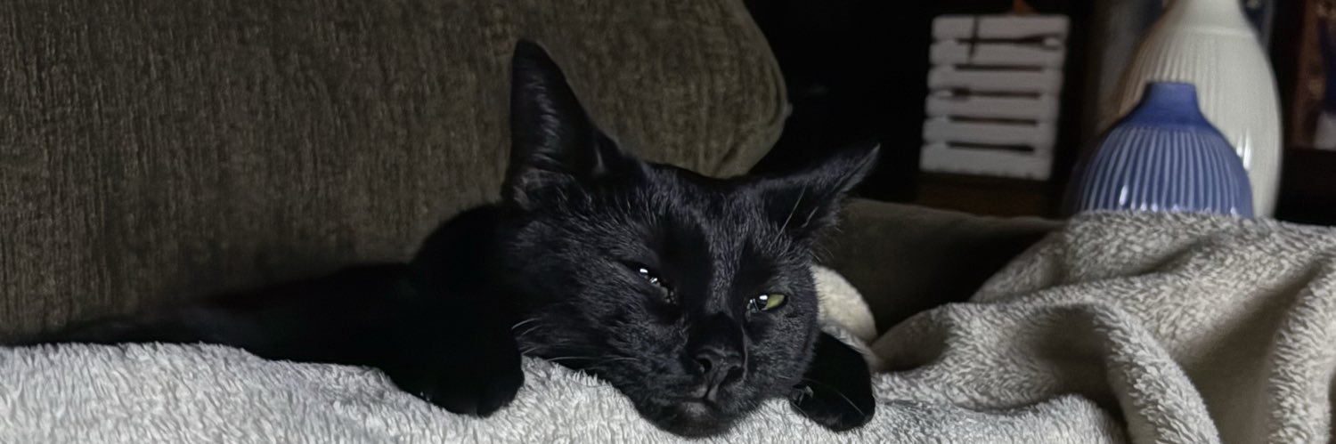 TannerMartello's profile banner image