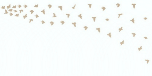 heshappily2's profile banner image