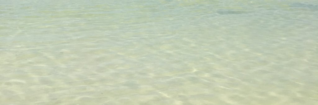 stefbuttonn's profile banner image