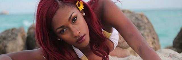 La'Nessa Mitchell banner