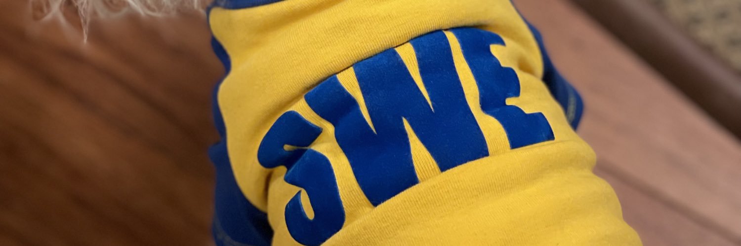 letsgosweden's profile banner image