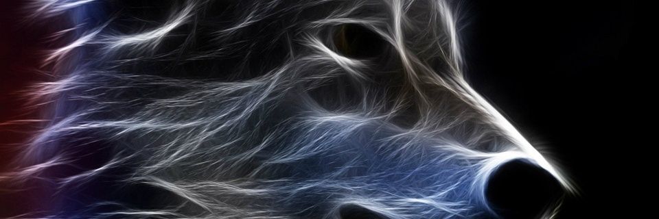 JoTheMusicalCat's profile banner image